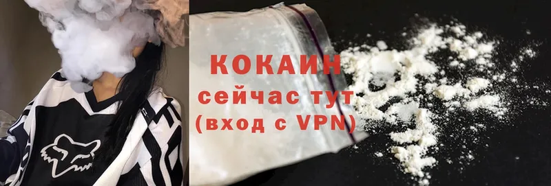 Cocaine Эквадор  где можно купить   Алейск 